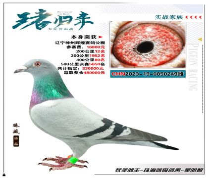 ٻݻԻ빫40080