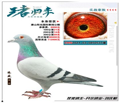 ҵ-ѡɽ빫