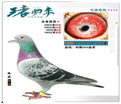 003Ѫϵ ٻ540Ǿ
