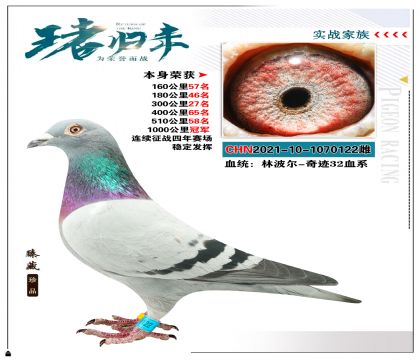 ֲ-漣32Ѫϵ  ٻ1000ھ