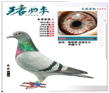 ǿƼСӡѪϵ  510ھ