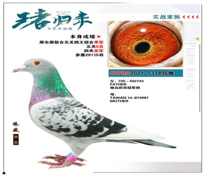̨ɺ뾺輯 ٻظۺϼ