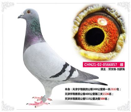 빫510500  	
