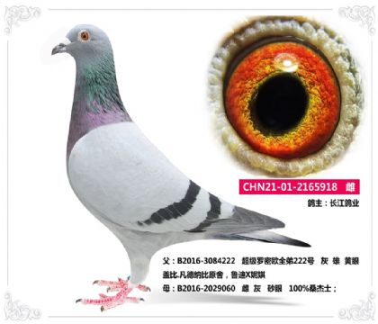ҵ---ǱXɣʿ   	