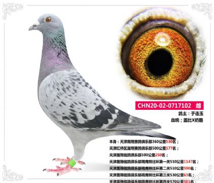 ŸֲӥرȻ53063
