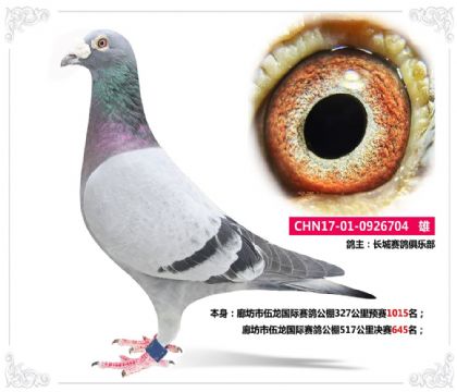 ȷ빫517645  	