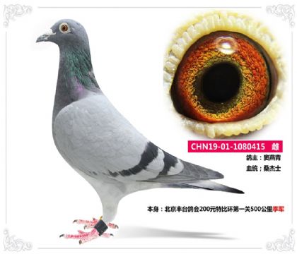 ̨200ԪرȻһ500＾   	