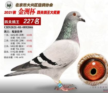 Ӣ  -˸Ĺۺ227  	