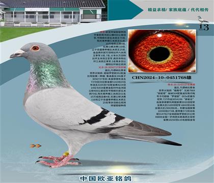 Ǳ롰ŷ727Xӥš127