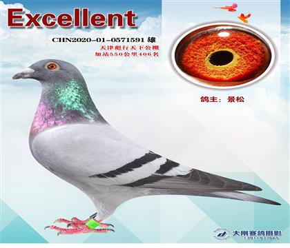 ھɹɼ