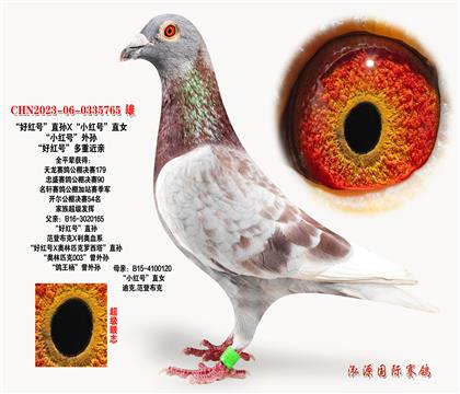 峬ӣúšֱXСšֱŮ
