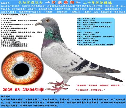 ʱ911ֱXʱ911ֱŮ