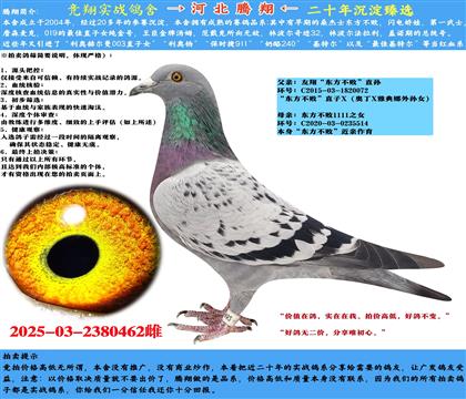 衱ܡֱX11111ֱŮ