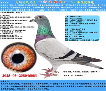 ʱ911ֱXʱֱŮѪָ