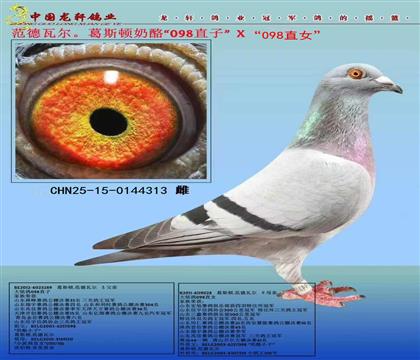 ˹.߶098ֱX098ֱŮ