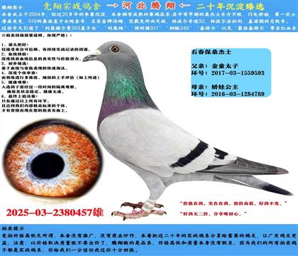 ʯɣʿܽͯX罿ޡָ