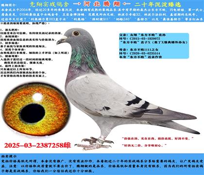 ҵܡֱX11111ֱŮ