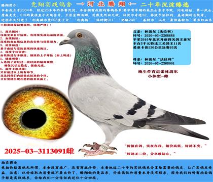 ֲСʹƣ
