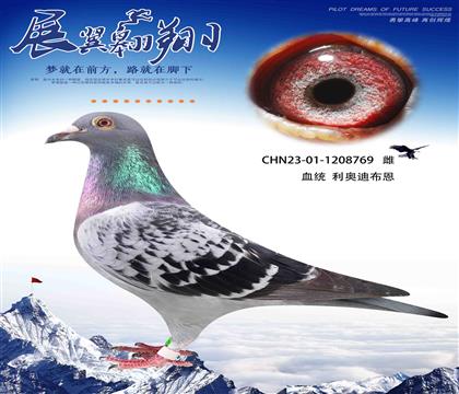 ϼӿϲ769