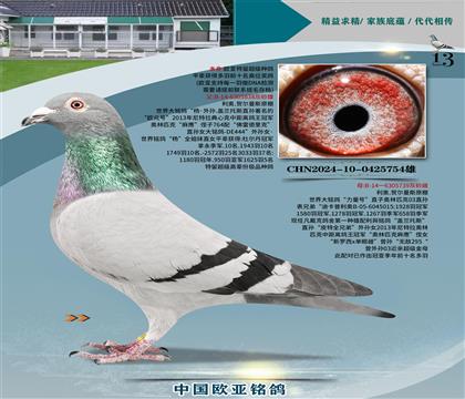 롰838Xš739