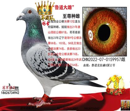 鲁道大雌