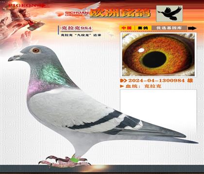3-ĳɿ˽+ھƽ
