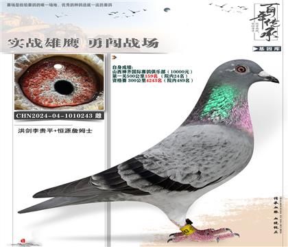恒源詹姆士神齐精英重炮243