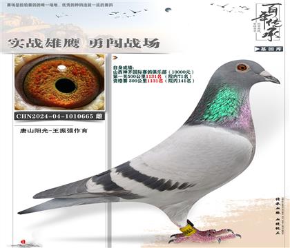 唐山阳光送山西神奇精英重炮665