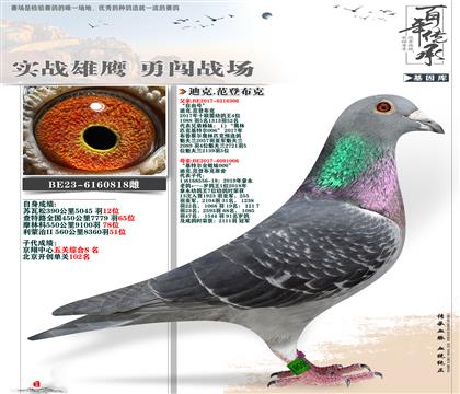凡登布克原舍818