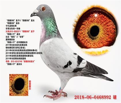 098ֱX098ֱŮ