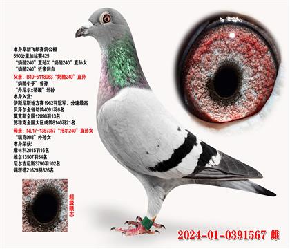240ֱX240ֱŮ