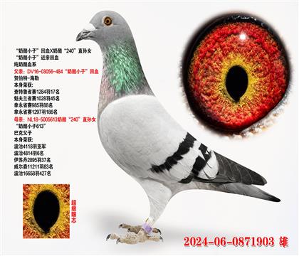 СӡѪXҡ240ֱŮ