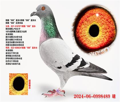 ҡ698ֱXҡ698ֱŮ