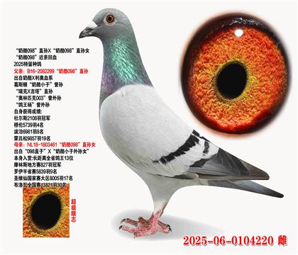 098ֱX098ֱŮ