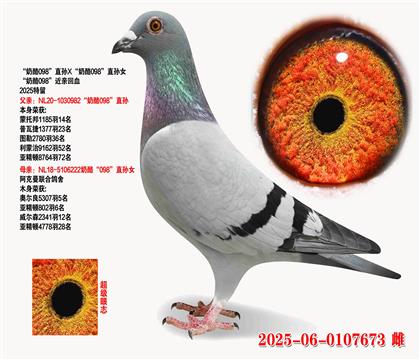 098ֱX098ֱŮ