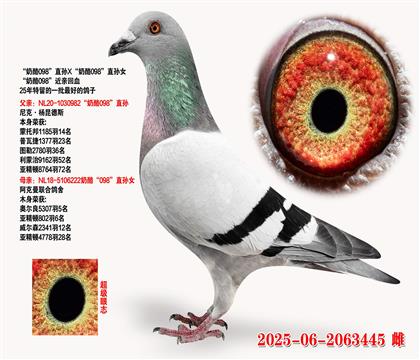 098ֱX098ֱŮ