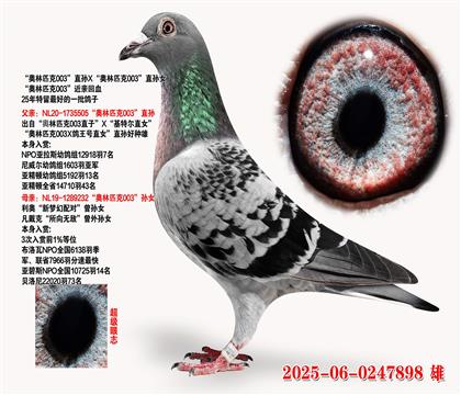 ƥ003ֱXƥ003ֱŮ