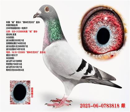 ¡Xƥ003ֱ