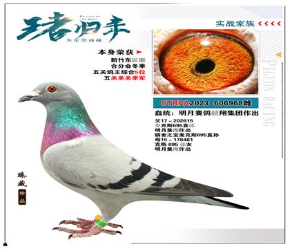 ̨뾺輯 ٻۺ5λ