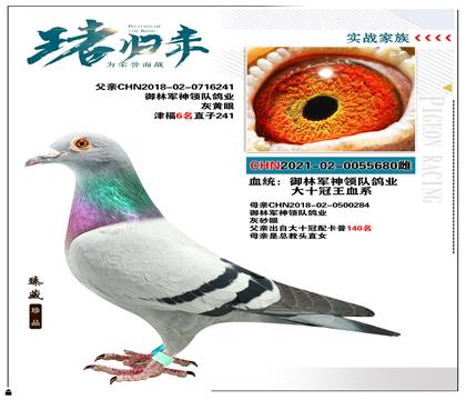 御林军神领队作育”大十冠王血系“
