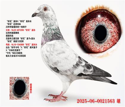 ûֱXûֱŮ
