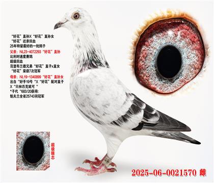 ûֱXûֱŮ
