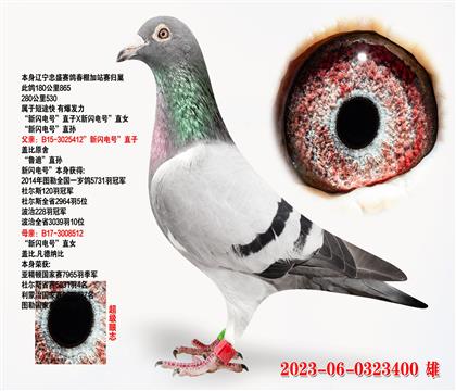 šֱXšֱŮ