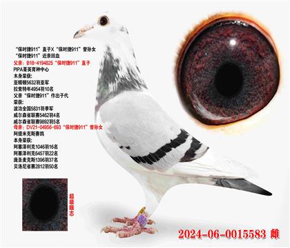 ʱ911ֱXʱ911Ů