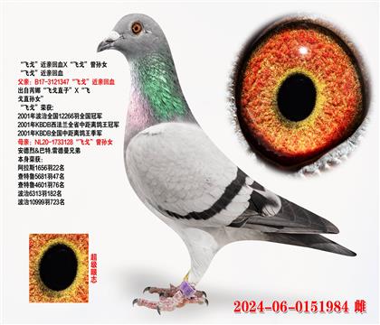 ɸꡱ׻ѪXɸꡱŮ