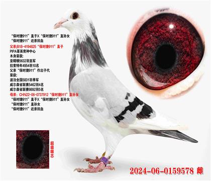 ʱ911ֱXʱ911ֱŮ