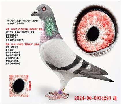 šֱXšֱŮ