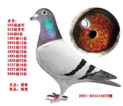 利奥