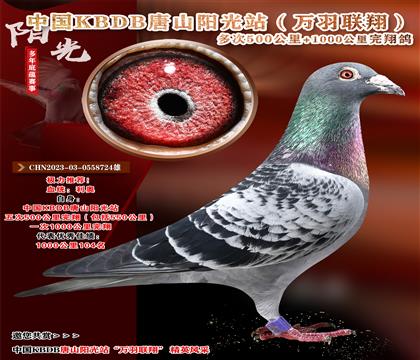 Ƽ.йKBDB裬ǧ104