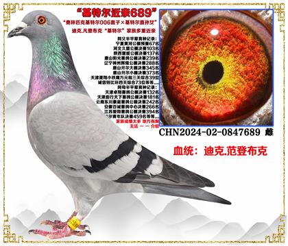 (صƼǲˡض006ֱӡضֱŮѪ